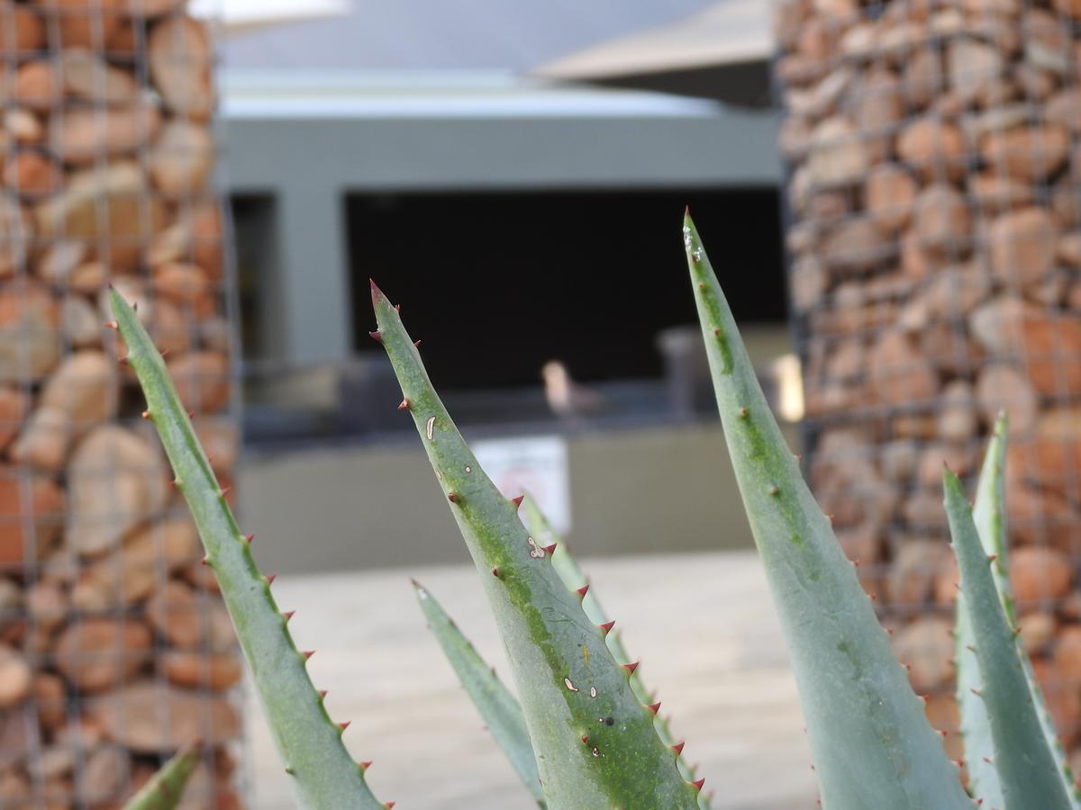 The Featherbed - Oudtshoorn Exteriér fotografie